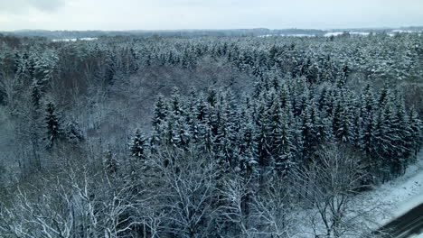 Panoramic-View-Of-Winter-Landscape---Coniferous-And-Bare-Trees-Covered-With-Snow-During-Winter-Near-Pieszkowo-In-Poland---aerial-drone-shot
