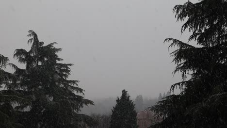 Schneefall-In-Der-Stadt-Im-Winter