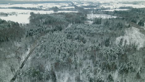 Pieszkowo-mixed-forest-covered-with-snow-from-high-angle-of-view,-Drone-side-movement
