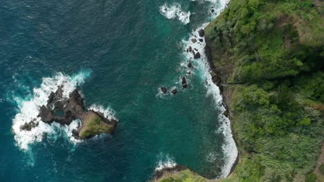 Top-down-aerial-of-lush-green-cliffs-with-blue-tropical-ocean-water,-Madeira