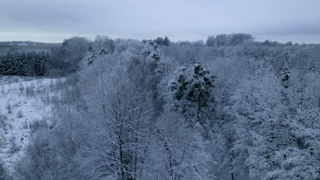 Entorno-Nevado-En-Pieszkowo-Polonia-Durante-El-Invierno---Toma-Aérea