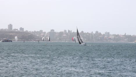 Segelboot-Wird-Von-Starkem-Wind-Beeinflusst---Sydney,-Australien