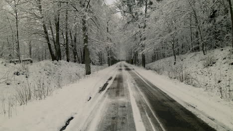 Leere-Landstraße-Inmitten-Kahler-Bäume-Während-Der-Verschneiten-Wintersaison-In-Pieszkowo-Polen---Kamerafahrt