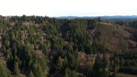 Aerial-over-dense-coniferous-forest-mountains-in-Oregon
