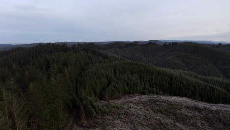 Portion-Of-Forest-Lot-Cleared-From-Trees-After-Deforestation-In-Oregon,-drone-descend