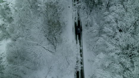 Travel-through-the-white-snowy-forest-of-Pieszkowo,-Poland-in-winter--Aerial