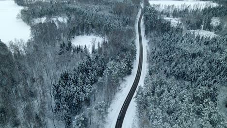 two-cars-driving-on-a-black-asphalt-road-true-the-forest-covered-with-white-snow-between-pine-trees-near-Pieszkowo