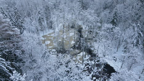 Gefrorener-See,-Umgeben-Von-Bäumen,-Die-Im-Winter-In-Deby,-Polen,-Mit-Schnee-Bedeckt-Sind
