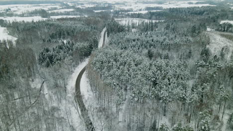 Empty-road-through-the-white-forest-of-Pieszkowo,-Poland-in-winter--Aerial