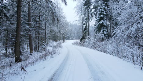 Glatter-Rückwärtsschuss-Des-Verschneiten-Winterwaldweges-Im-Wald-Mit-Hohen-Tannen--Und-Kiefernbäumen-Während-Der-Weihnachtszeit