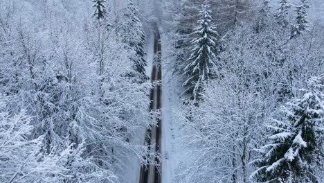 Beautiful-aerial-flight-along-rural-snowy-winter-road-with-tall-snow-covered-trees
