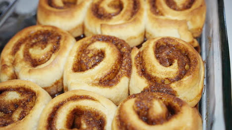 Fresh-baked-cinnamon-rolls-in-a-glass-pan-straight-from-the-oven---isolated-close-up