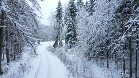 Luftdrohne-Fliegt-Im-Winter-Langsam-Zurück-Entlang-Der-Schneebedeckten-Waldstraße,-Polen,-Deby