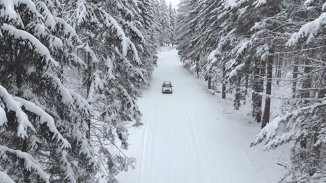 Aerial-shot-of-a-sport-car-driving-towards-a-camera-on-a-snowy-road-between-snow-covered-trees-in-forest-on-a-cold,-winter-day---drone-shot,-static-shot