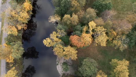Aerial-view-of-colorful-lakeside-forest-in-autum-colors-red,-yellow,-green