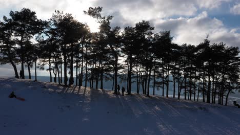Luftfliegen-Seitlich-Neben-Wald--Und-Baumumrissen-Und-Schatten-In-Einer-Erstaunlichen-Winterlandschaft-Mit-Schneebedeckten-Bergen-Und-Sonnenschein-In-Schwaben,-Deutschland