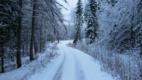 Quiet-open-dirt-road-through-a-forest-during-winter--low-aerial