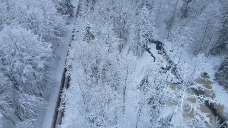 Autofahren-Auf-Der-Straße-Durch-Schneebedeckten-Wald-In-Der-Nähe-Des-Zugefrorenen-Sees-Im-Dorf-Deby,-Polen