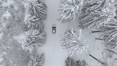 Aerial-view-of-a-car-entering-a-scene-on-snowy-road-in-snow-covered-forest,-on-a-cloudy-winter-day---drone-shot,-tracking-shot,-overhead