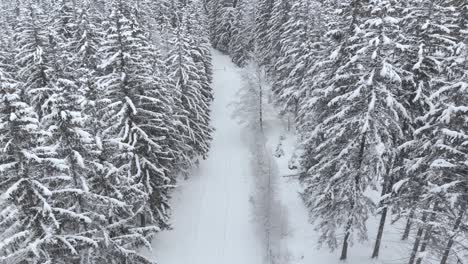 Aerial-view-overlooking-a-natural-trail-in-middle-of-snow-covered-trees-and-snowy-forest-with-a-valley-behind,-on-a-winter-day---drone-shot,-following,-tilt-up
