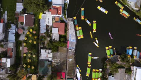 Drone-Se-Eleva-Mientras-Coloridas-Maniobras-De-Trajineras-En-Xochimilco