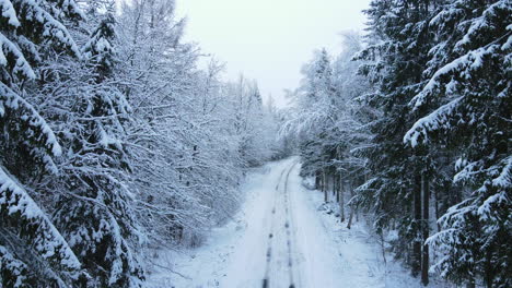 Snowy-forest-road-with-no-traffic