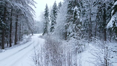 Aerial-flight-along-snow-covered-forest-road-through-snowy-trees-beautiful-winter-scene