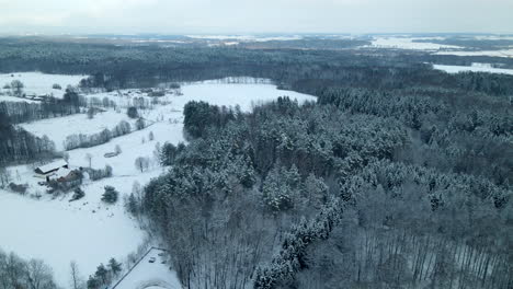 Panoramic-View-Of-A-Shaggy-Woodland-Near-Snowy-Village-In-Pieszkowo,-Poland
