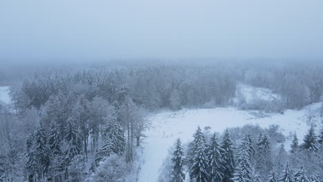 Aerial-drone-lift-shot-over-snowy-winter-forest-landscape-with-white-field