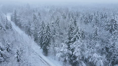 Aerial-view-of-car-driving-along-remote-rural-snowy-road-in-winter-snow-covered-forest