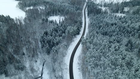 Carretera-Asfaltada-Tranquila-Y-Vacía-A-Lo-Largo-De-Los-árboles-En-El-Bosque-Cubierto-De-Nieve-Durante-La-Temporada-De-Invierno-En-Pieszkowo,-Polonia