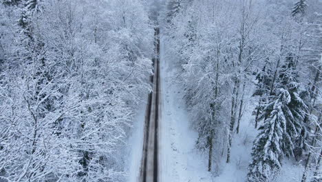 Beautiful-drone-flight-above-scenic-forest-road-in-cold-snowy-winter-landscape