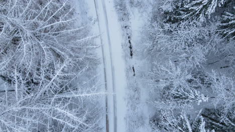 Schneebedeckte-Landstraße-In-Der-Nähe-Von-Snow-Hill-Village-Im-Dezember-Bei-Deby,-Polen