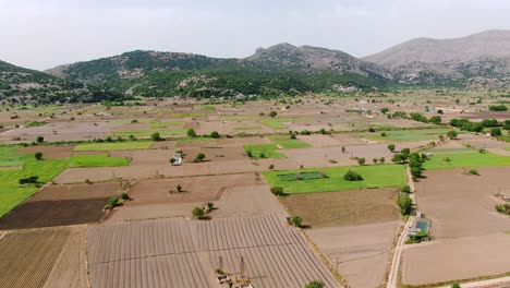 Aerial-push-in-shot-of-Lasithi-Plateau-with-agriculture-fields