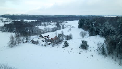 Structure-In-Winter-Landscape-Near-Forest-Park-In-Pieszkowo,-Poland