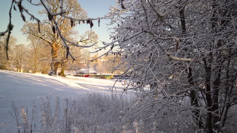 Winterwunderland-Mit-Ästen,-Die-In-Nahaufnahme-Mit-Weißem-Schnee-Bedeckt-Sind,-Während-Die-Leute-Im-Hintergrund-Spielen