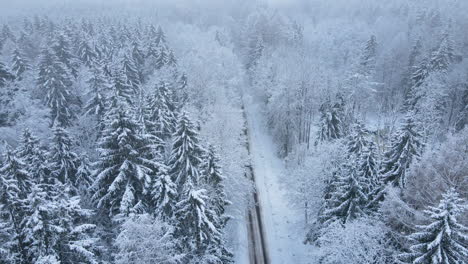 Vehicle-Travel-Through-Asphalt-Road-With-Dense-Coniferous-Under-Overcast-Sky-During-Snowfall-Season