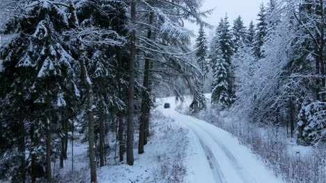 Car-driving-on-snowy-road-surrounded-by-snow-covered-fir-trees-during-bright-day-in-december,aerial-backwards-shot