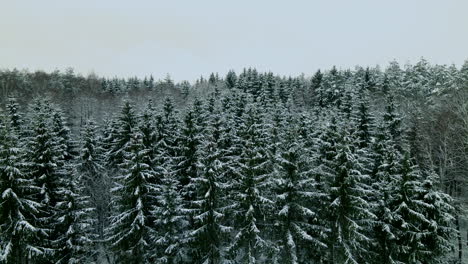 Aerial-view-of-cold-northern-snowy-remote-forest-dark-winter-scene-on-overcast-day