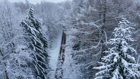 Verschneite-Straße-Durch-Kalte-Winterwaldlandschaft-Luftflug-Entlang-Baumwipfeln