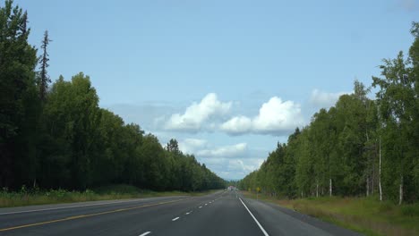 Conduciendo-Por-Una-Gran-Carretera-Aislada-En-El-Bosque