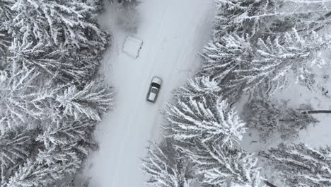 Aerial-view-rising-above-a-car-on-road-in-middle-of-snow-covered-forest,-on-a-overcast,-winter-day---drone-shot,-rising,-high-angle