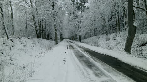 Verschneite-Landstraße-Zwischen-Bäumen-Mit-Kahlen-Ästen-Im-Winter-In-Pieszkowo,-Polen
