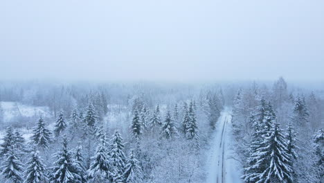 Luftaufnahme-über-Verschneite-Winterlandschaft-Mit-Schneebedeckten-Bäumen-Und-Straße-In-Die-Ferne