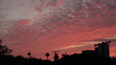 Roter-Und-Rosa-Gebrannter-Sonnenuntergang-In-Los-Angeles