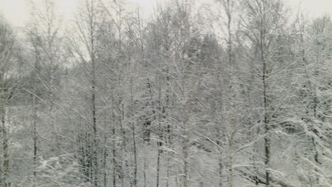 Bosque-Congelado-Con-Carretera-Rural-Durante-El-Invierno-En-Pieszkowo,-Polonia