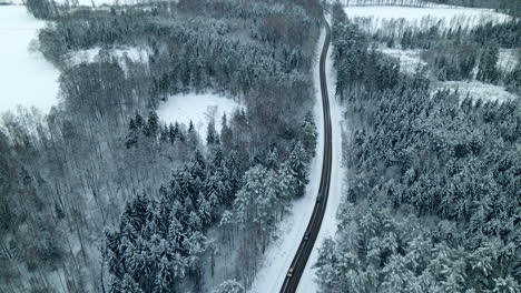 Cars-Traveling-In-Winter-Road-Between-Pine-Forest-Near-Pieszkowo-Village,-Poland