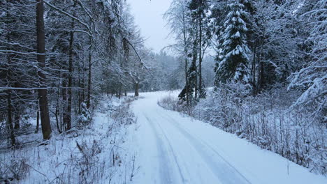 Snowy-Winter-Road-Among-Trees-At-Deby-County,-Poland