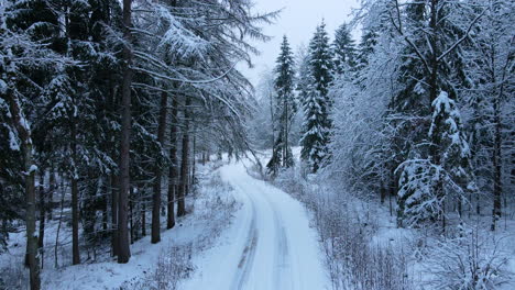Langsamer-Luftschuss-über-Verschneiter-Straße,-Umgeben-Von-Wunderschönen-Schneebedeckten-Tannen-In-Natürlicher-Landschaft