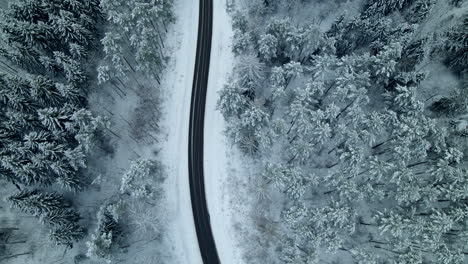 Aerial-flyover-lonely-iced-road-surrounded-by-beautiful-snow-covered-fir-trees-in-forest-during-cold-winter-day